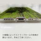 【TPU】カワハギ　鉄錆