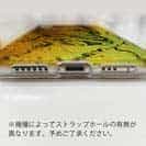 【TPU】コイ　鉄錆