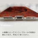 【TPU】マダイ　鉄錆