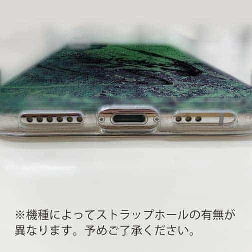 【TPU】ニジマス(スチールヘッド)　鉄錆