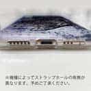 【TPU】イシガキダイ(クチジロ)　鉄錆