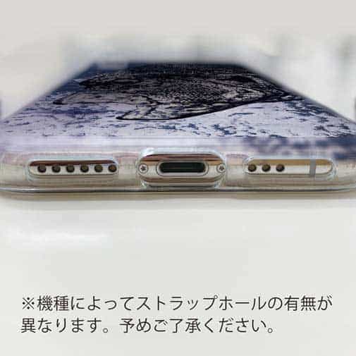 【TPU】イシガキダイ(クチジロ)　鉄錆