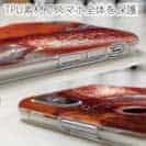 【TPU】アカムツ(ロージーシーバス)