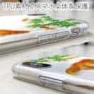 【TPU】金魚の可愛いイラスト