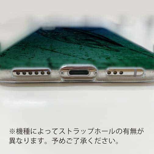 【TPU】カツオ　錆鉄