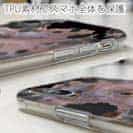 【TPU】ケンサキイカ