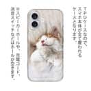 【TPU】昼寝する猫(ネコ)