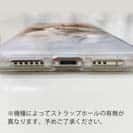 【TPU】昼寝する猫(ネコ)