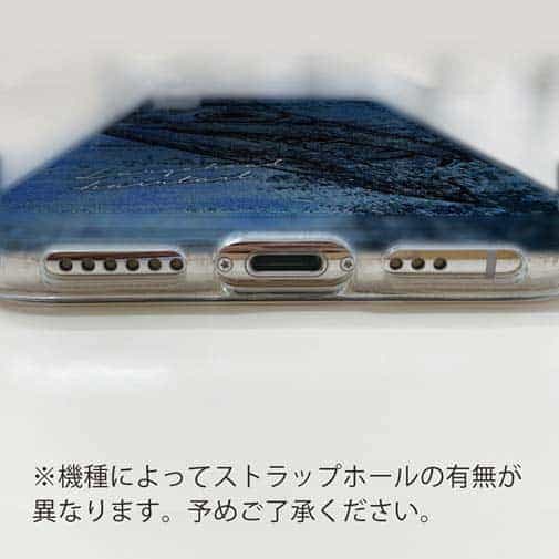 【TPU】タチウオ　鉄錆