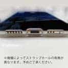 【TPU】屋根の上のネコと満月