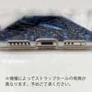 【TPU】クロダイ(チヌ)のHDR