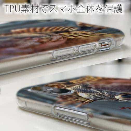 【TPU】カサゴのハンドランディング