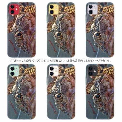 【TPU】カサゴのハンドランディング