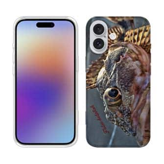 【TPU】カサゴのハンドランディング