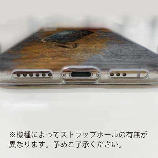 【TPU】私のお気に入りのルアー