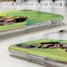 【TPU】たっちゃんのライバル・とらお