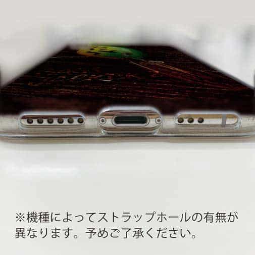 【TPU】ダイワ　バスジャッカー2 BASS JACKER 2 に憧れた