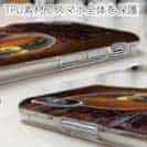 【TPU】ジャッカル(JACKALL)　ジェロニモSR