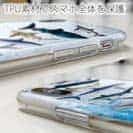 【TPU】サメ・シャーク・鮫　鮫の種類