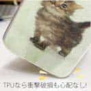 【TPU】生後20日の可愛い子猫　イラスト