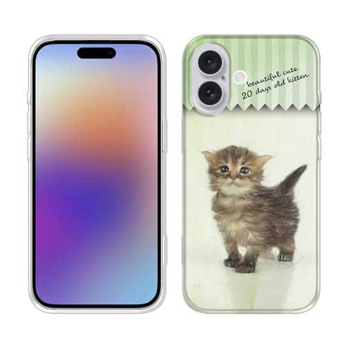 【TPU】生後20日の可愛い子猫 イラスト