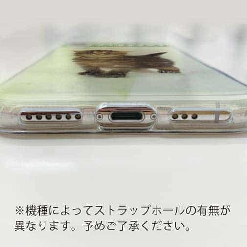 【TPU】生後20日の可愛い子猫　イラスト