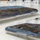 【TPU】砂の王者・ヒラメ