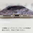 【TPU】イワナ　鉄錆