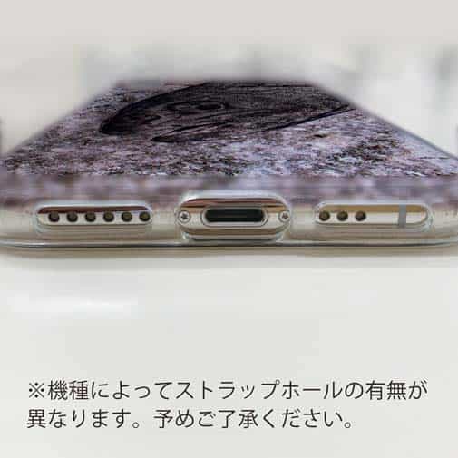 【TPU】イワナ　鉄錆