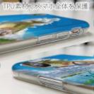 【八百板浩司】【TPU】Midsummer Dream 夢に出てきそうな風景