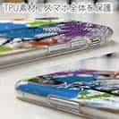 【TPU】シーバス(ヒラスズキ) ペンキペイント