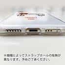 【TPU】お気に入りのルアー