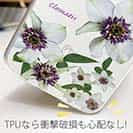 【TPU】クレマチス