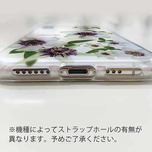 【TPU】クレマチス