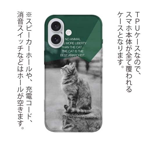 【TPU】ヘミングウェイの猫とは…
