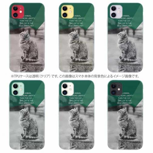 【TPU】ヘミングウェイの猫とは…