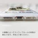 球磨焼酎【TPU】一勝地