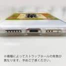 球磨焼酎【TPU】極楽