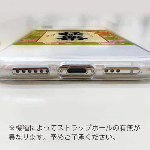 球磨焼酎【TPU】極楽