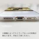 球磨焼酎【TPU】秋の露