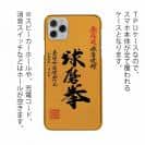 球磨焼酎【TPU】球磨拳（くまけん）