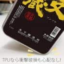 球磨焼酎【TPU】文蔵