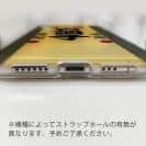 球磨焼酎【TPU】六調子