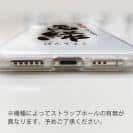 球磨焼酎【TPU】萬緑