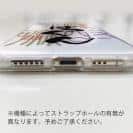 球磨焼酎【TPU】ばつぐん