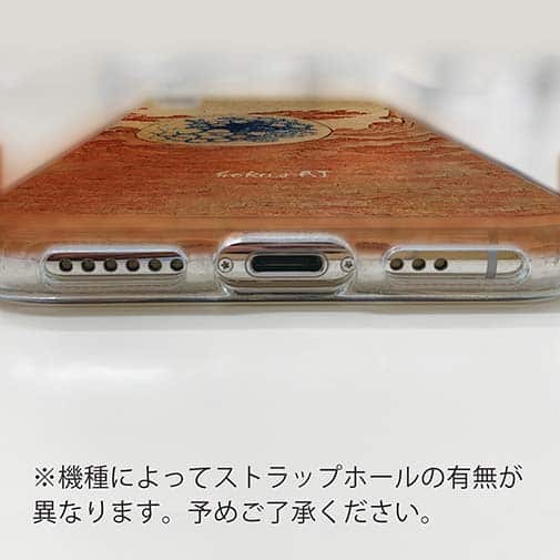 【Hokus-AI】【TPU】Bacteriaシリーズ No.2