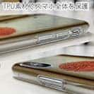 【Hokus-AI】【TPU】Bacteriaシリーズ No.4