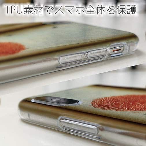 【Hokus-AI】【TPU】Bacteriaシリーズ No.4