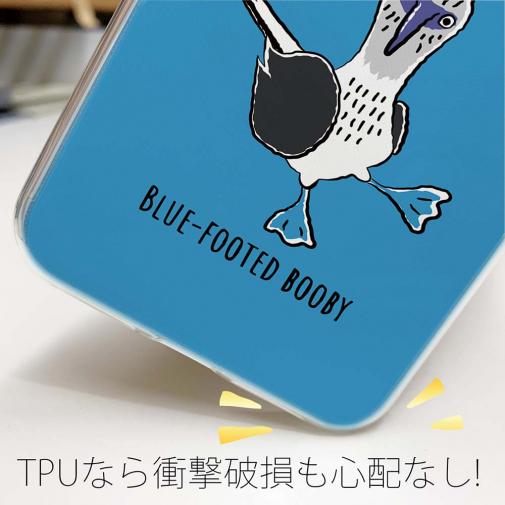 【TPU】とぼけた顔のアオアシカツオドリ(wakat)