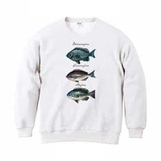 【トレーナー】メジナの仲間 8.4oz Cotton:100%